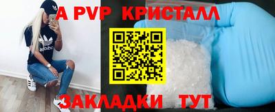 спиды Будённовск