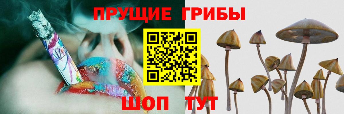 Галлюциногенные грибы мухоморы Трёхгорный